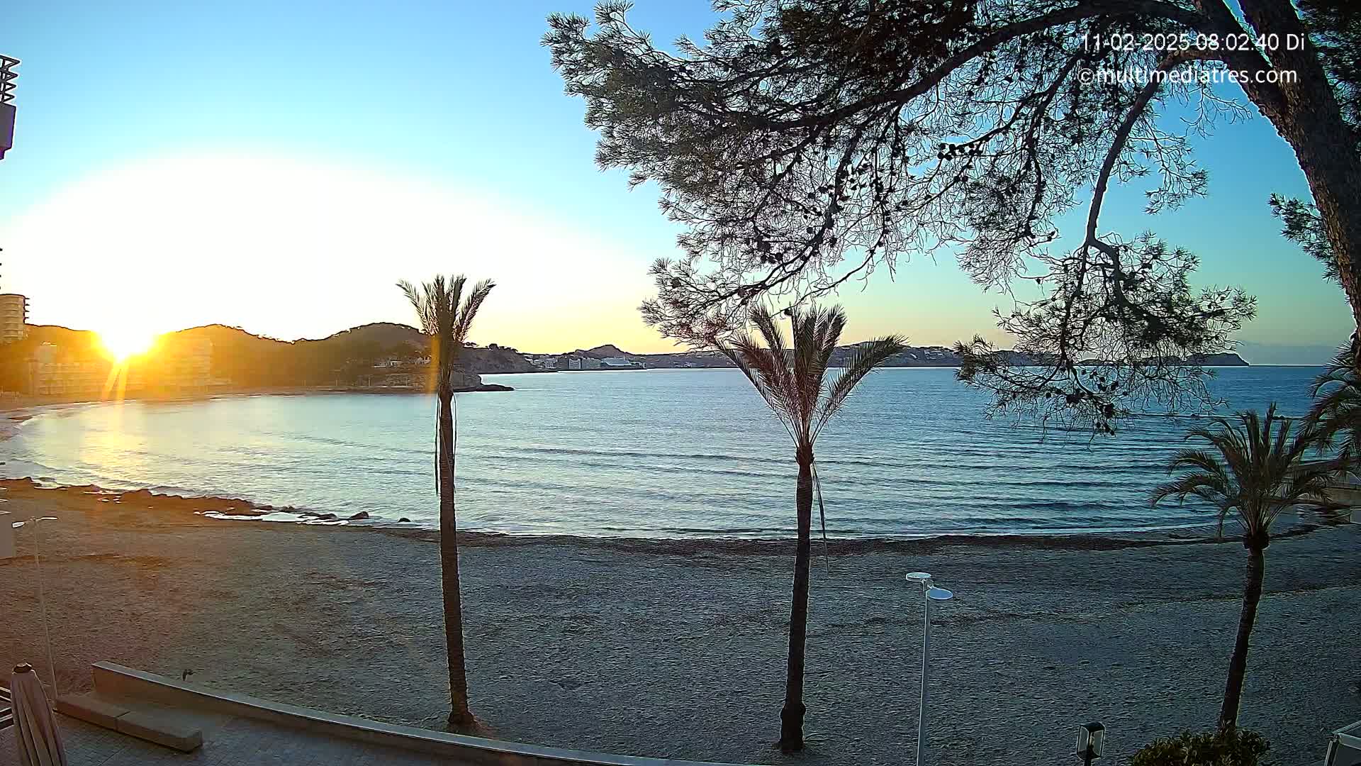 A sunrise casts a golden glow over a calm bay with a sandy beach, framed by palm trees and the branches of a pine tree.