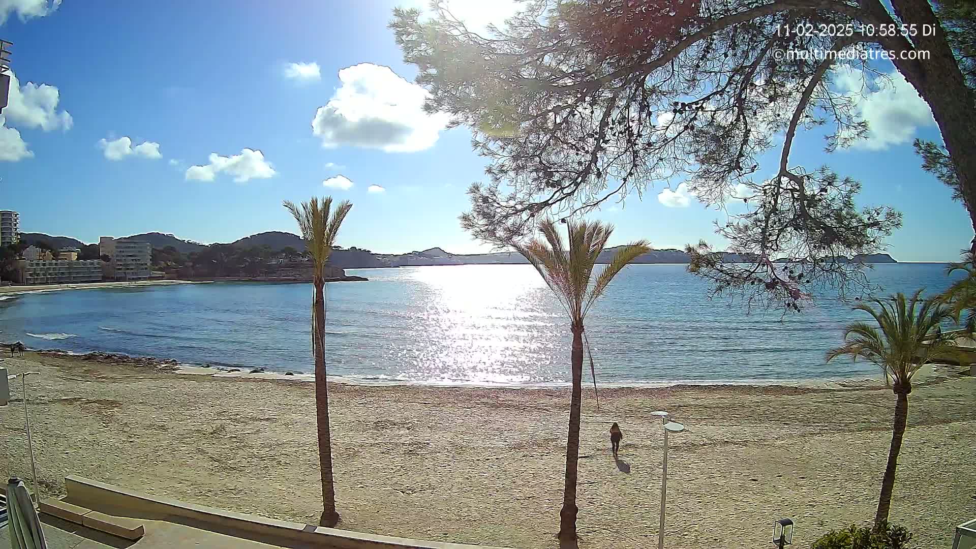 A sandy beach with palm trees and a calm, sunlit sea stretches out beneath a partly cloudy blue sky.