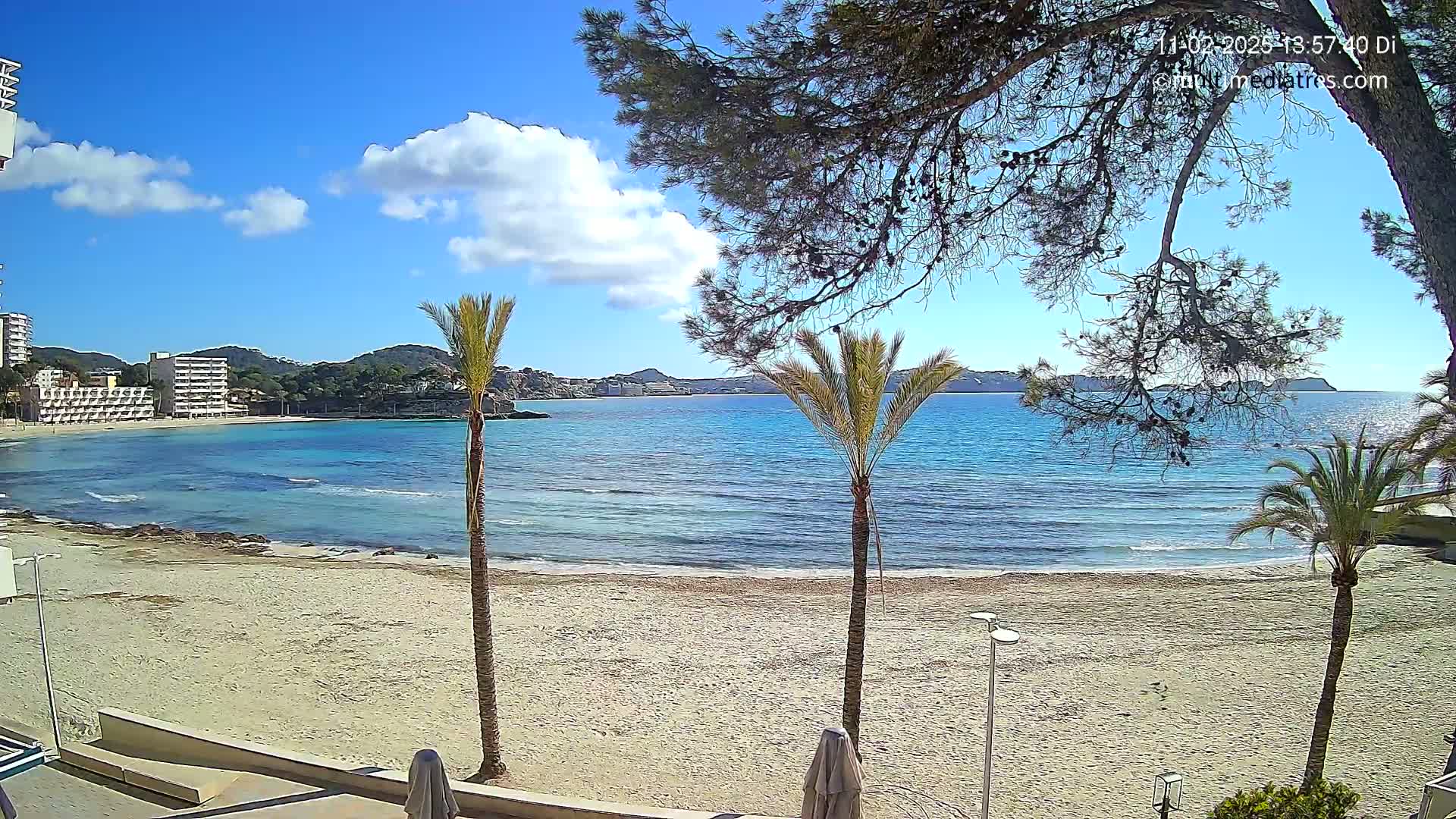A sandy beach with palm trees and clear blue water under a partly cloudy sky.