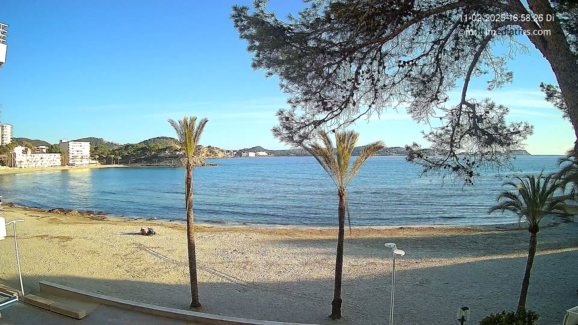 A sunny day at a sandy beach with calm blue water, palm trees, and buildings visible in the background.