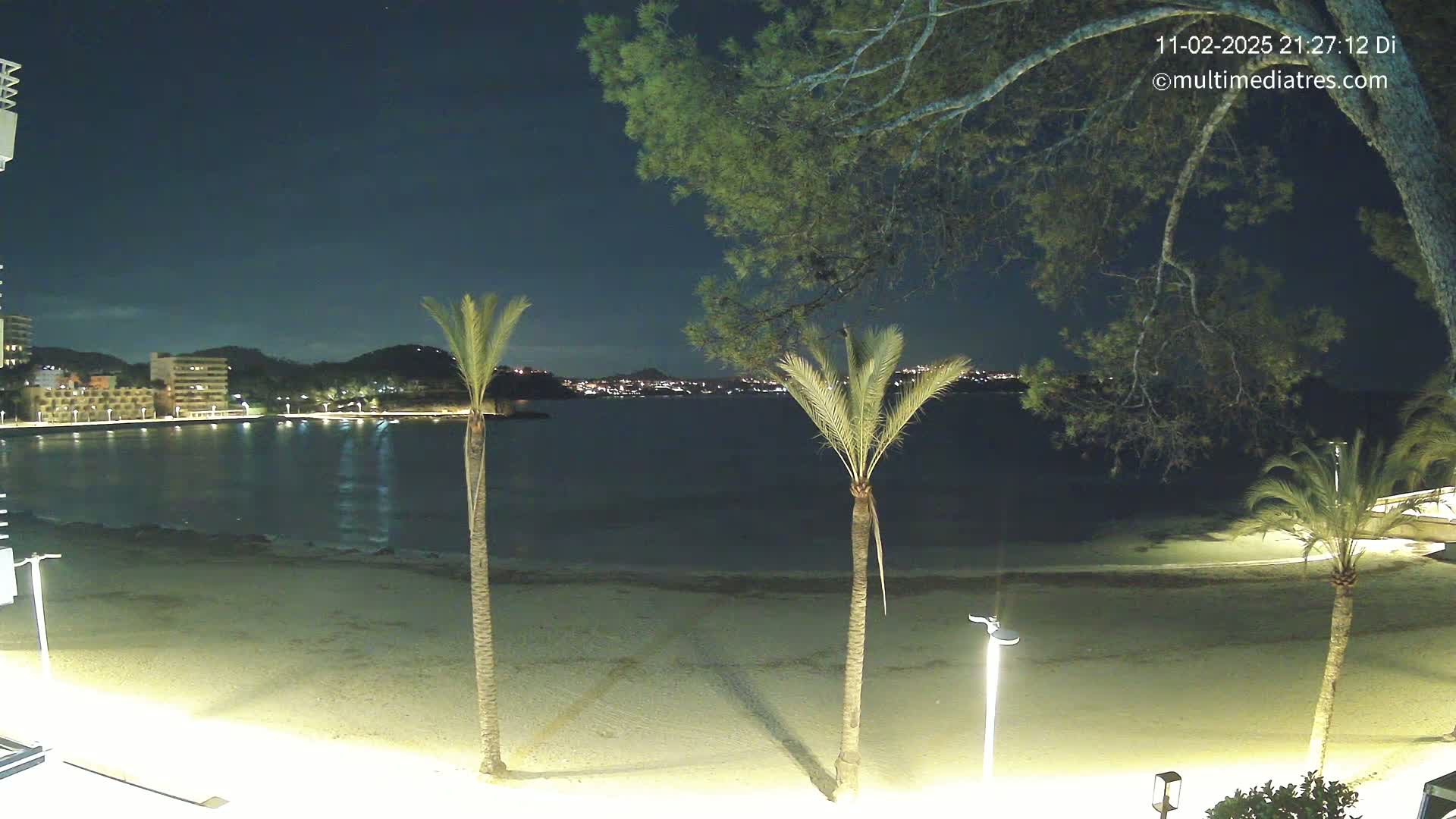 A nighttime beach scene shows a calm body of water with a town's lights across it, palm trees and a pine tree in the foreground under a clear, dark sky.