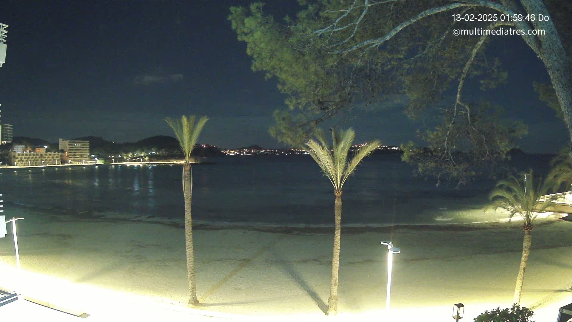 A nighttime view of a sandy beach with palm trees, illuminated by lights, overlooks a calm body of water with a town's lights visible across the water.