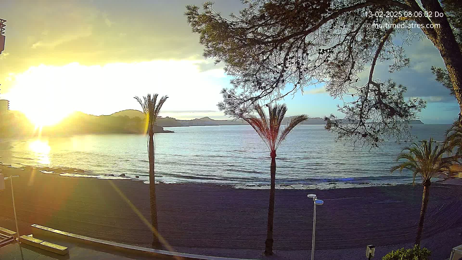 A sunrise over a calm, dark-sand beach, with palm trees and a pine tree in the foreground, and hills in the background.