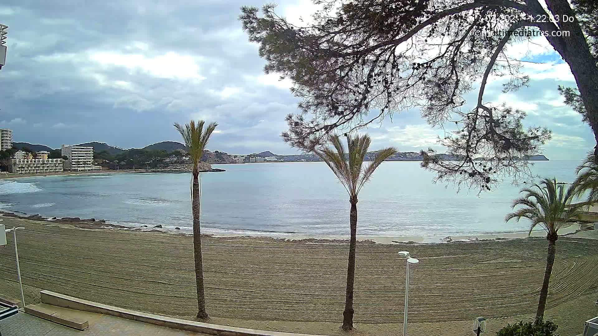 A sandy beach with calm water and several palm trees in the foreground, under a cloudy sky.