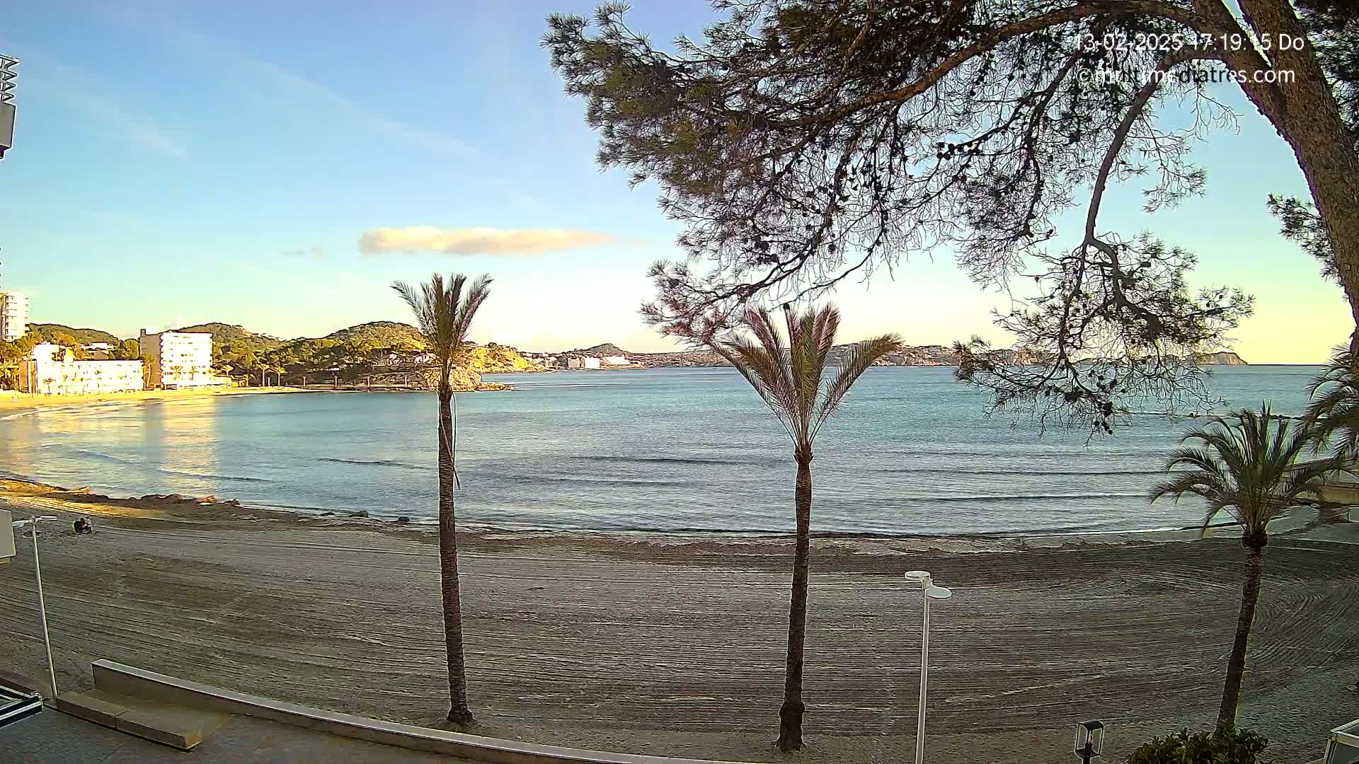 A sandy beach with calm ocean waves, palm trees, and buildings in the background under a clear, sunny sky.