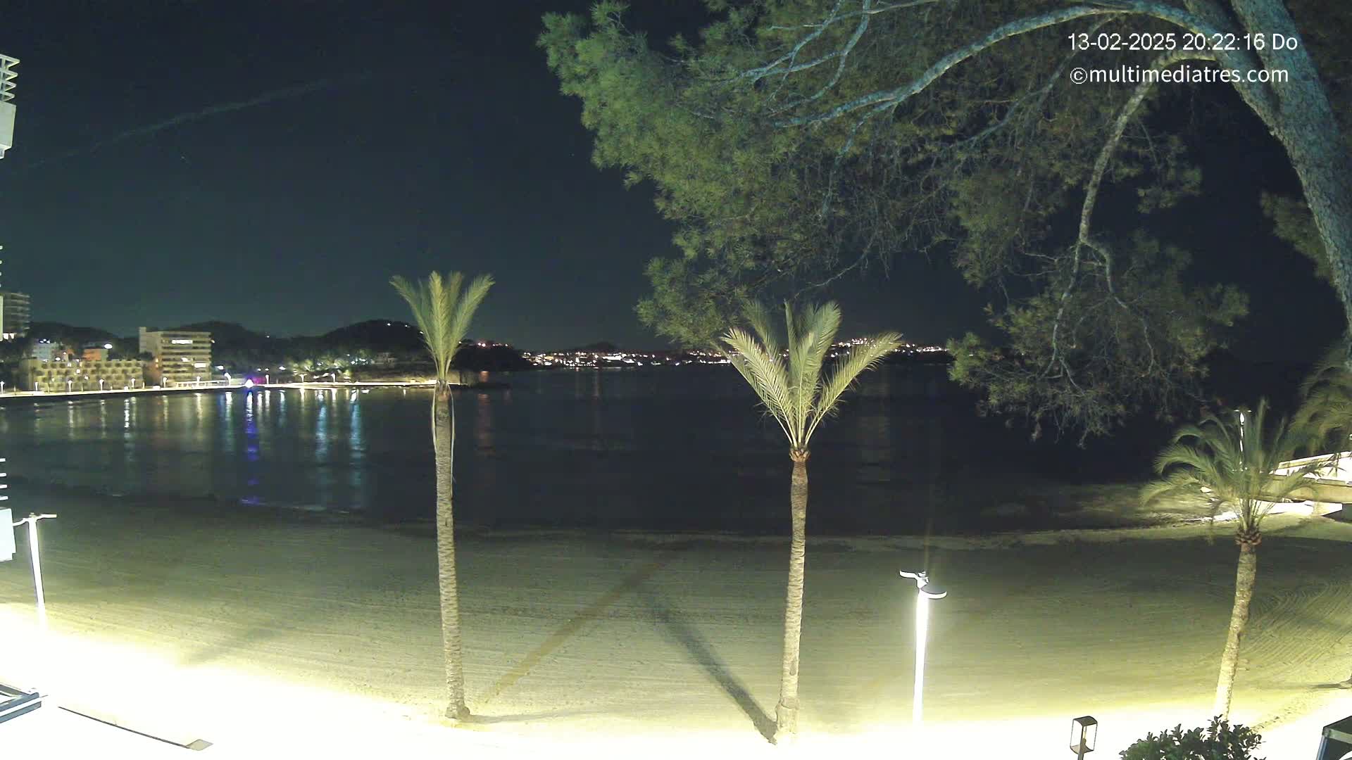 A nighttime view of a sandy beach, palm trees, and a calm body of water reflecting the lights of a city across the water under a clear, dark sky.