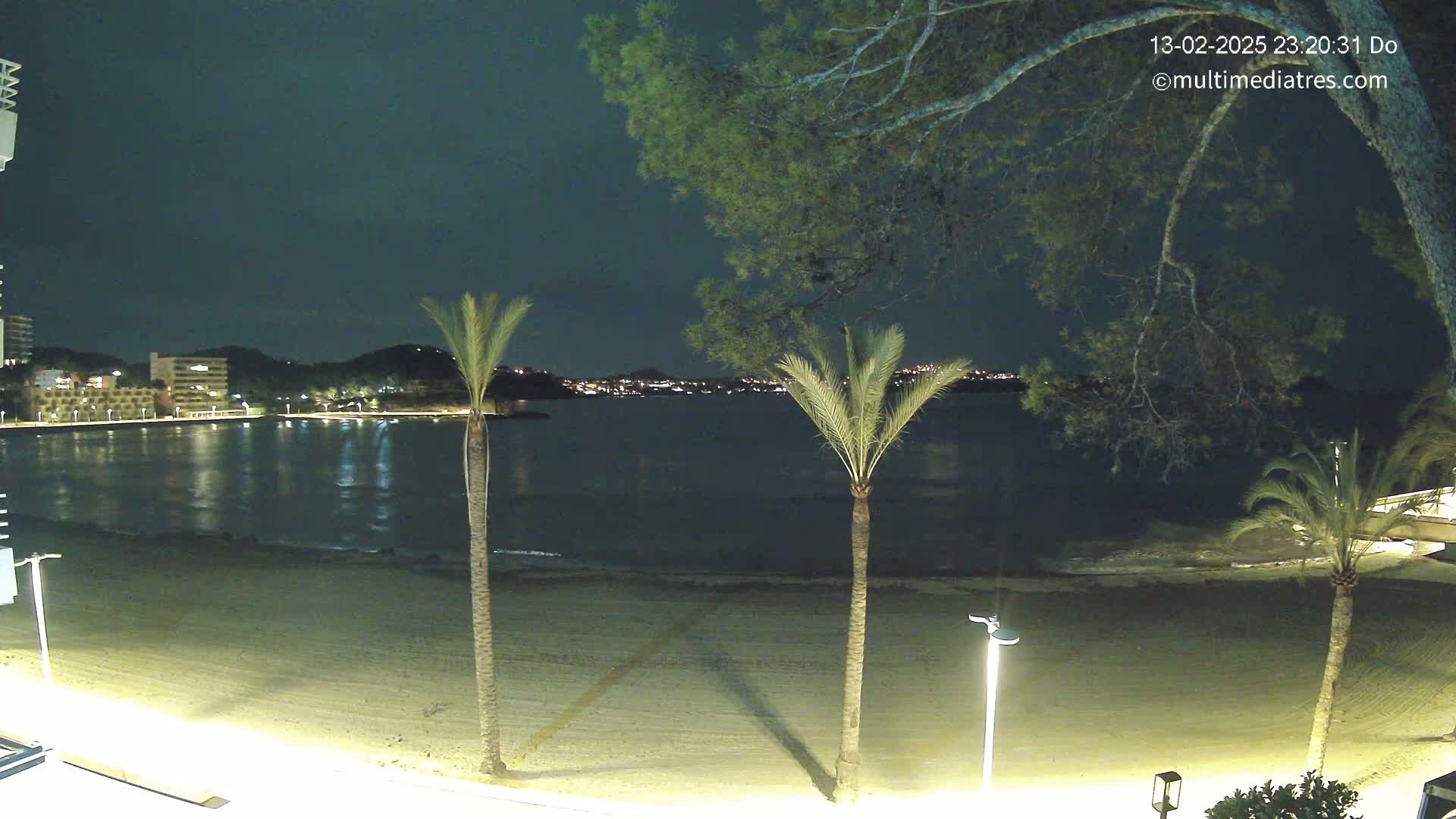 A nighttime view of a sandy beach, calm water, palm trees, and a city skyline across the bay under a dark sky.