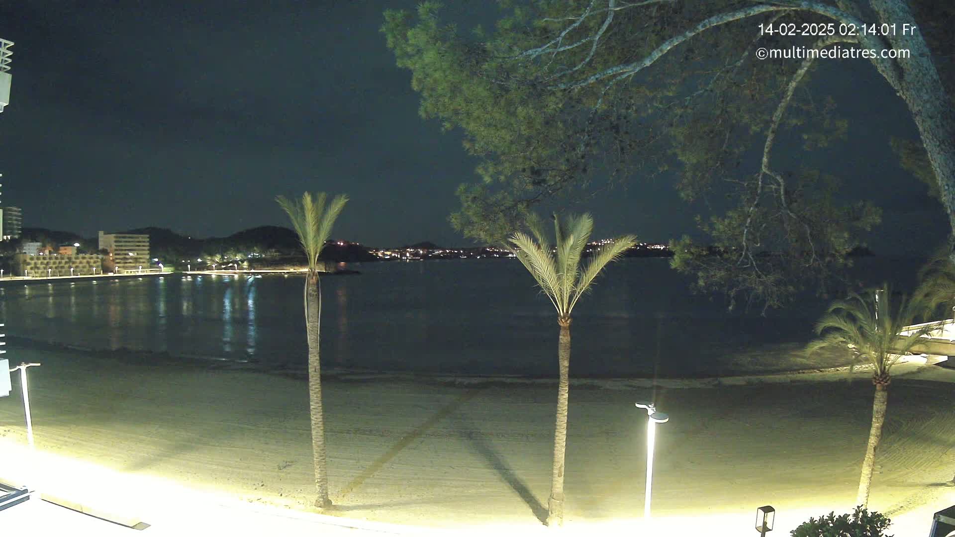 A nighttime view of a sandy beach, calm water reflecting lights from buildings across the bay, and several palm trees under a dark sky.