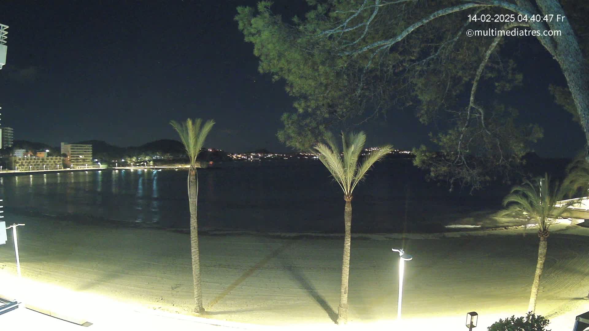 A nighttime view of a sandy beach, calm water, palm trees, and buildings across the water under a clear, starry sky.