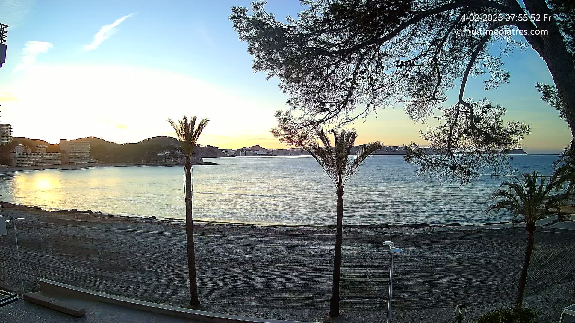 A sandy beach at sunrise, with calm sea water, palm trees, and buildings visible in the background.