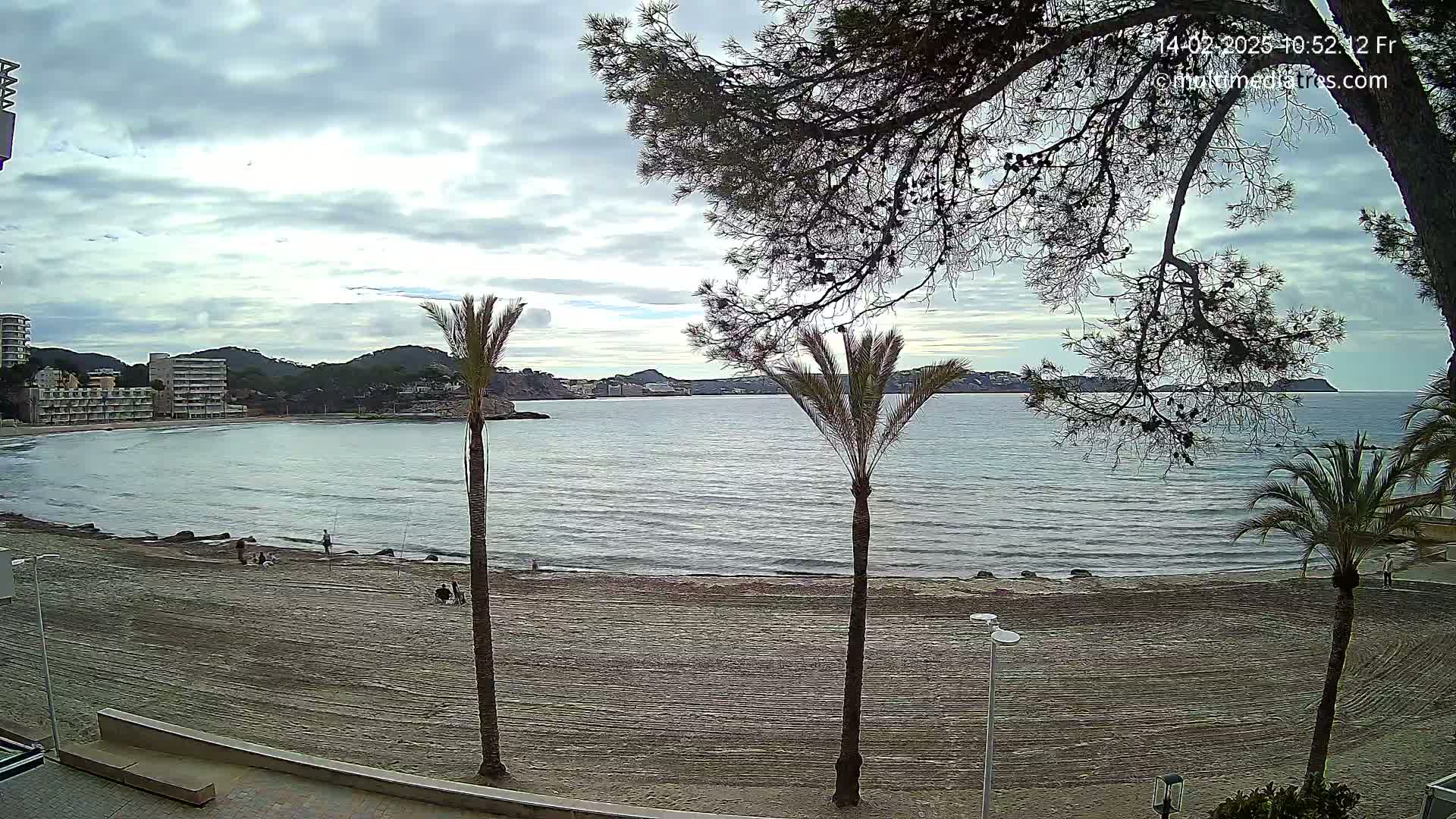 A sandy beach with palm trees and buildings in the background under a cloudy sky overlooks a calm sea.