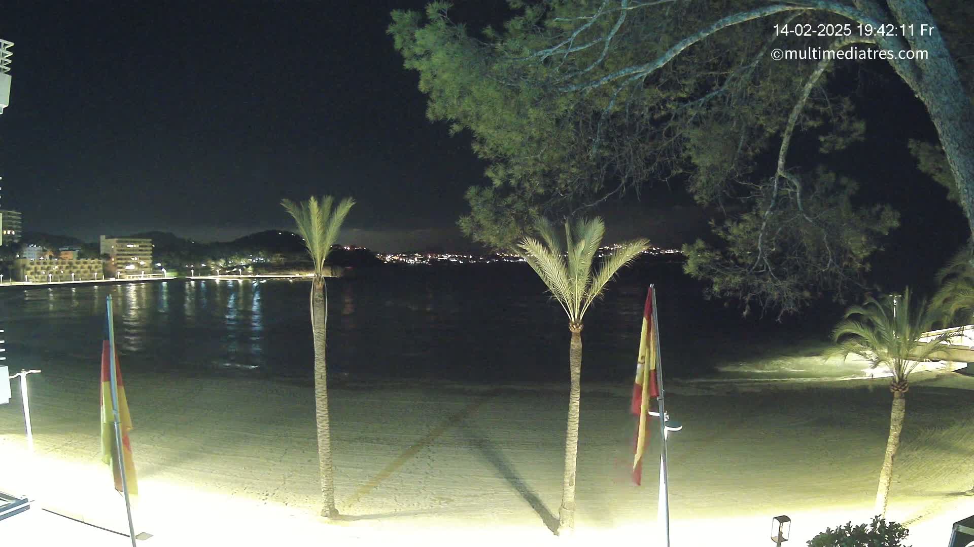 A nighttime view of a sandy beach with palm trees, a calm body of water, and a distant city skyline illuminated.
