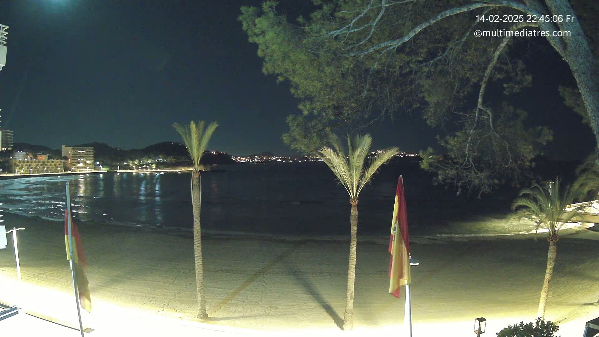A nighttime view of a calm beach with palm trees and flags, overlooking a town illuminated with lights across the water under a dark, clear sky.