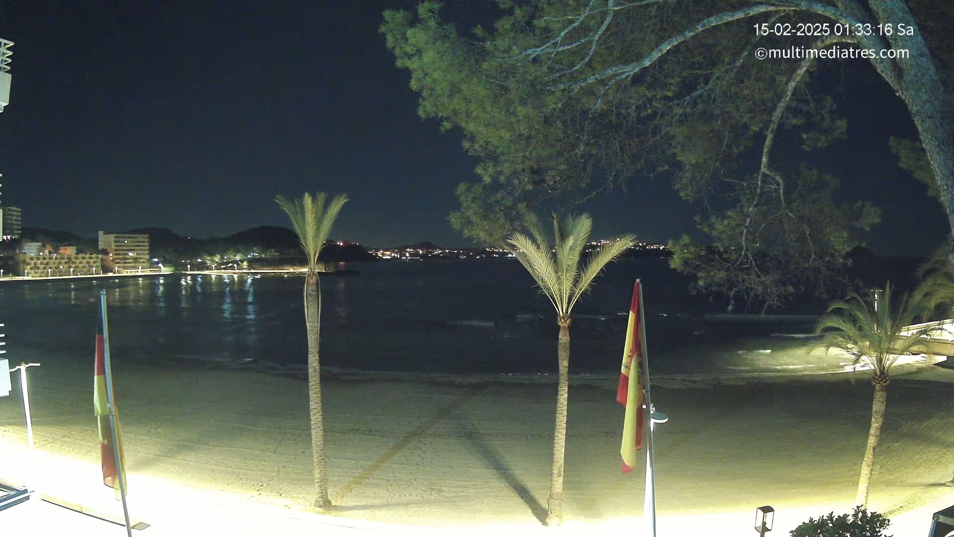 A nighttime view of a sandy beach with palm trees, calm water, and a distant illuminated cityscape under a clear, dark sky.