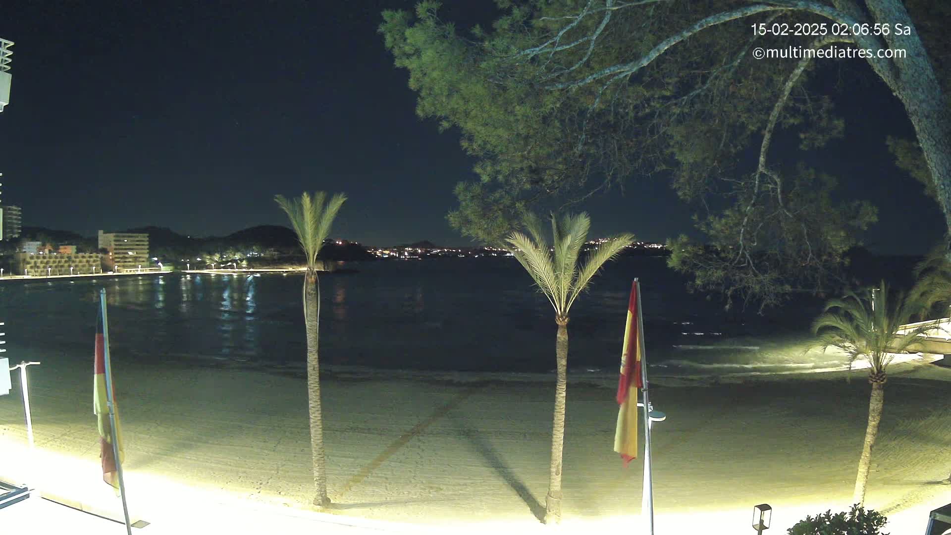 A nighttime beach scene shows a sandy shore, palm trees, calm water, and a distant, illuminated city under a clear, dark sky.