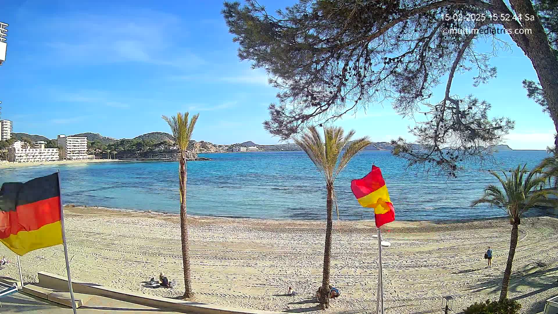 A sandy beach with palm trees and flags overlooks a calm, blue bay under a clear, sunny sky.