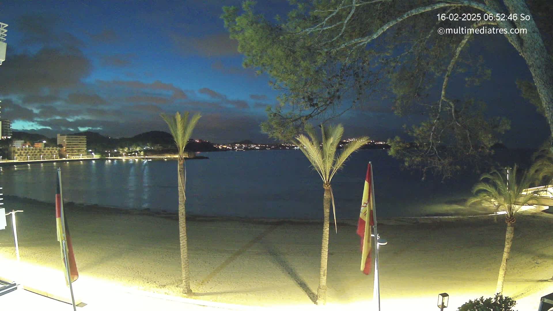 A beach at night with palm trees, city lights across the water, and a partly cloudy sky.