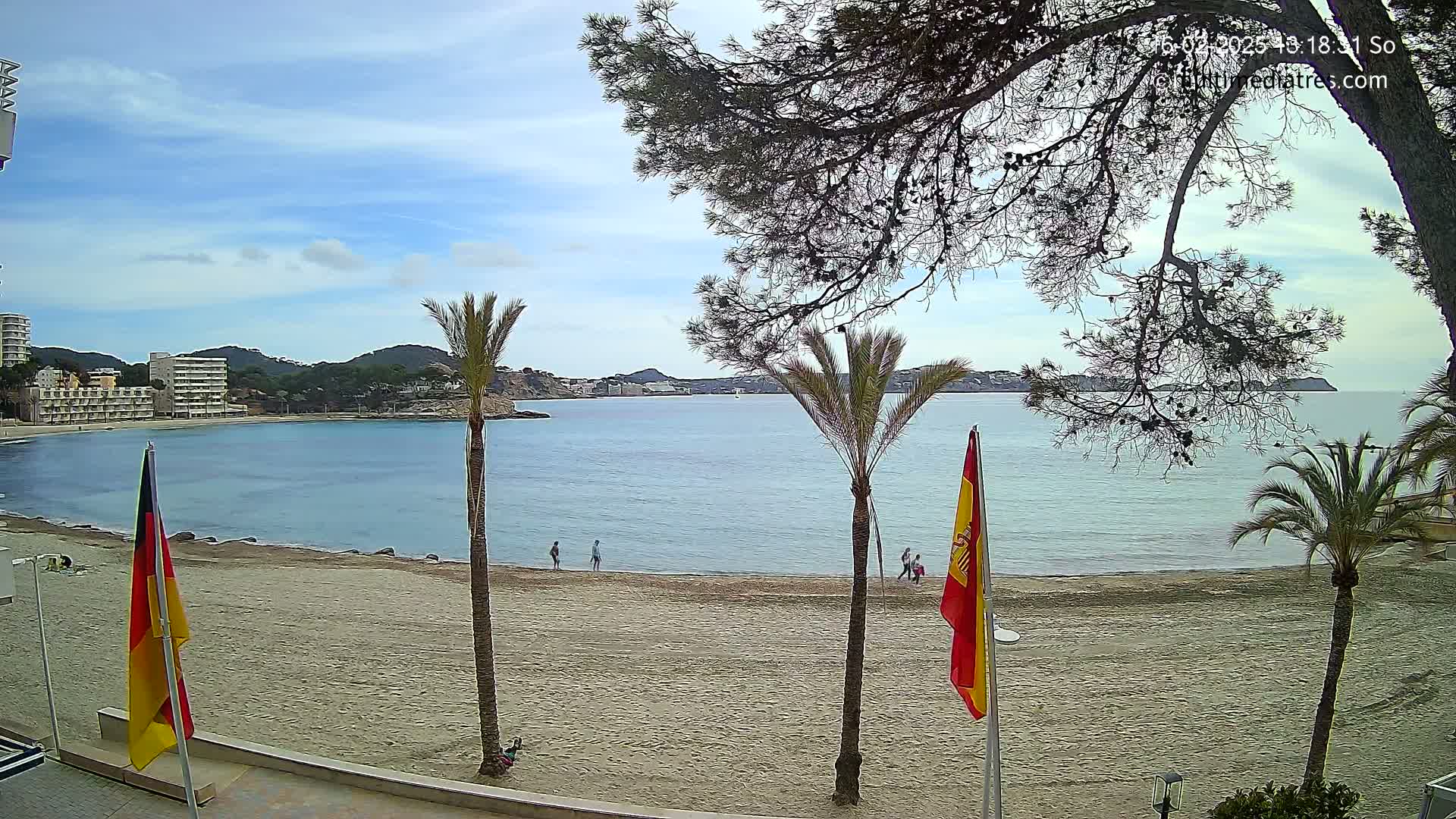 A sandy beach with palm trees and flags, overlooks a calm bay with buildings and hills in the background under a partly cloudy sky.