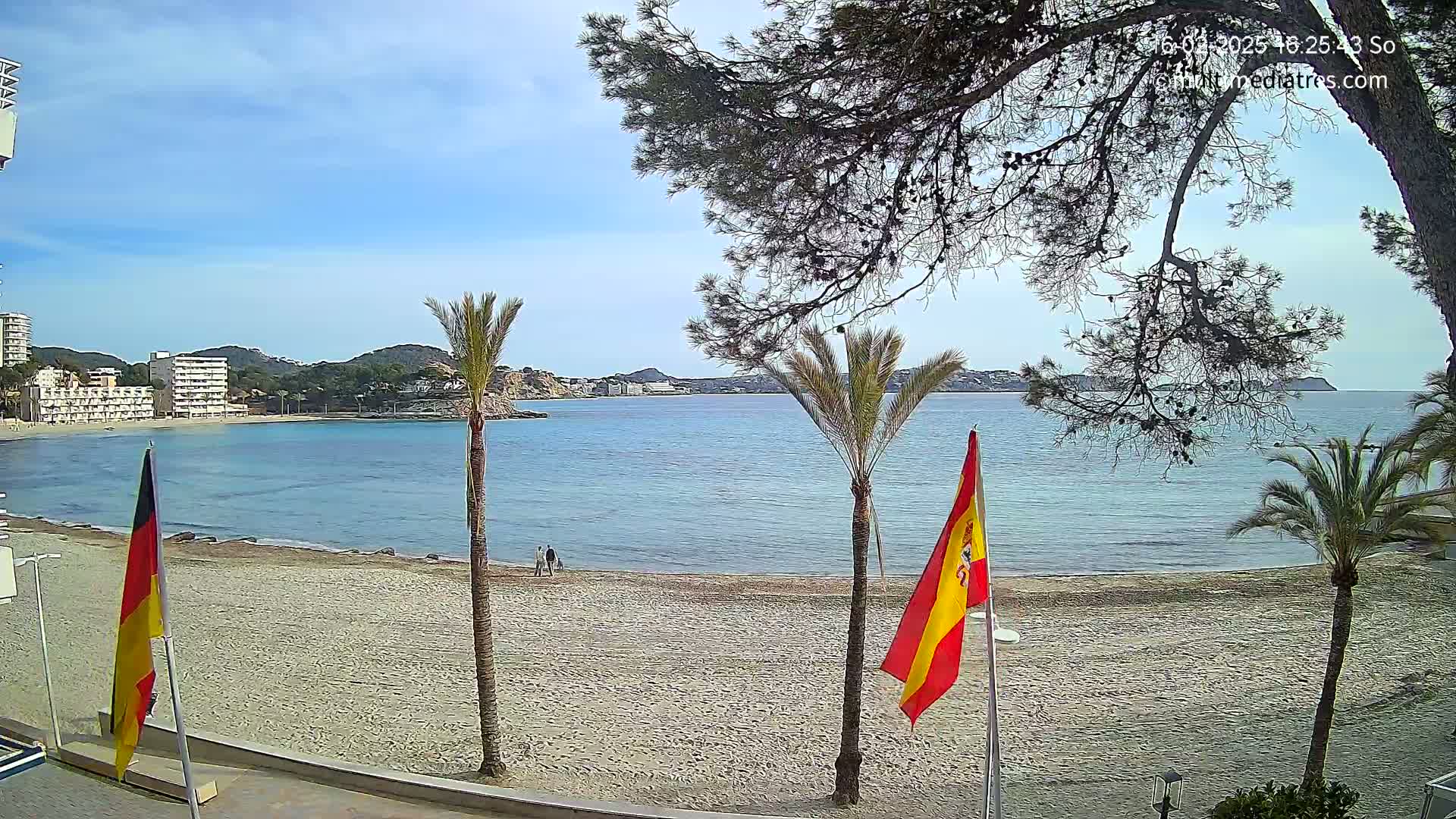 A sandy beach with calm, blue water, palm trees, and flags is seen on a sunny day.