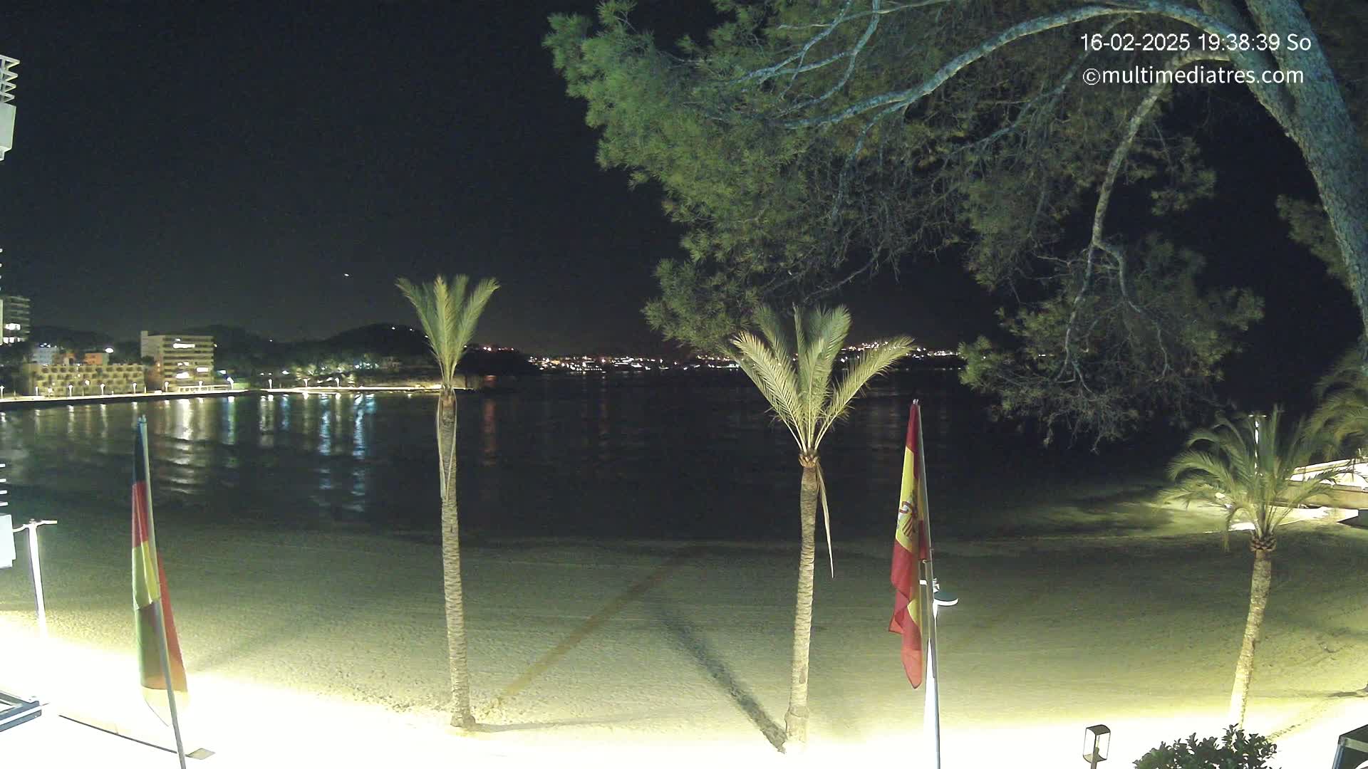 At night, a sandy beach with palm trees and flags is illuminated, overlooking a calm body of water with a city skyline in the distance.
