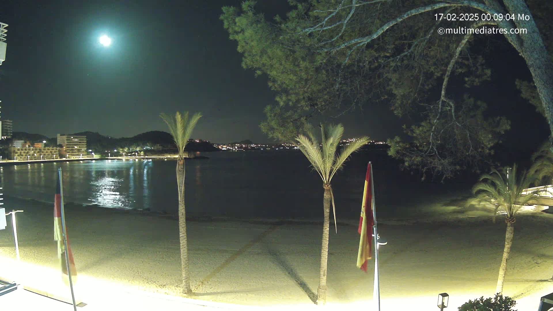 A brightly lit sandy beach at night, under a full moon, with palm trees and a calm body of water reflecting the moon and distant city lights.