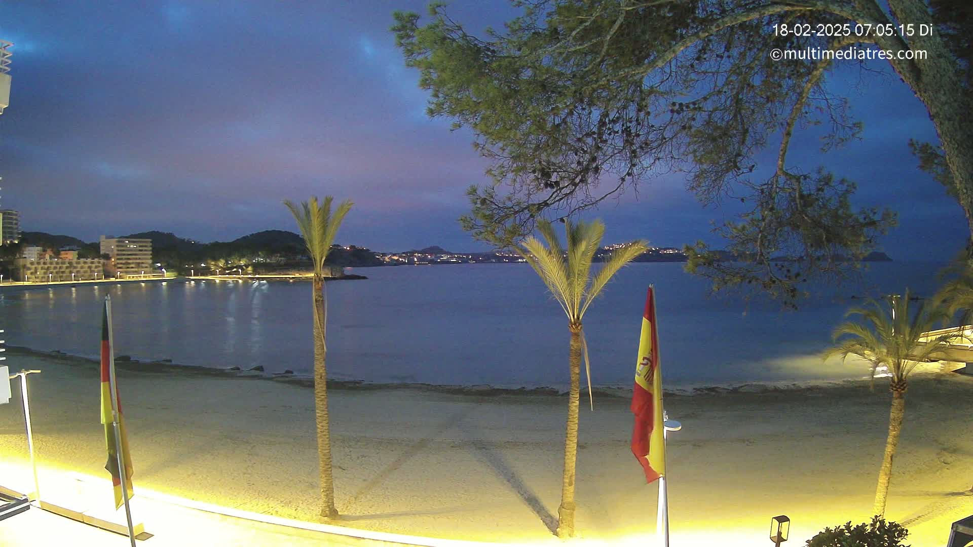 A sandy beach at twilight, with palm trees, low light, and a calm body of water showing a town across the bay.