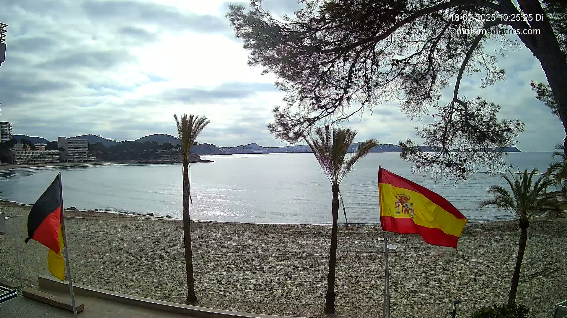 A sandy beach with calm water, palm trees, and the Spanish and German flags flying under a cloudy sky.