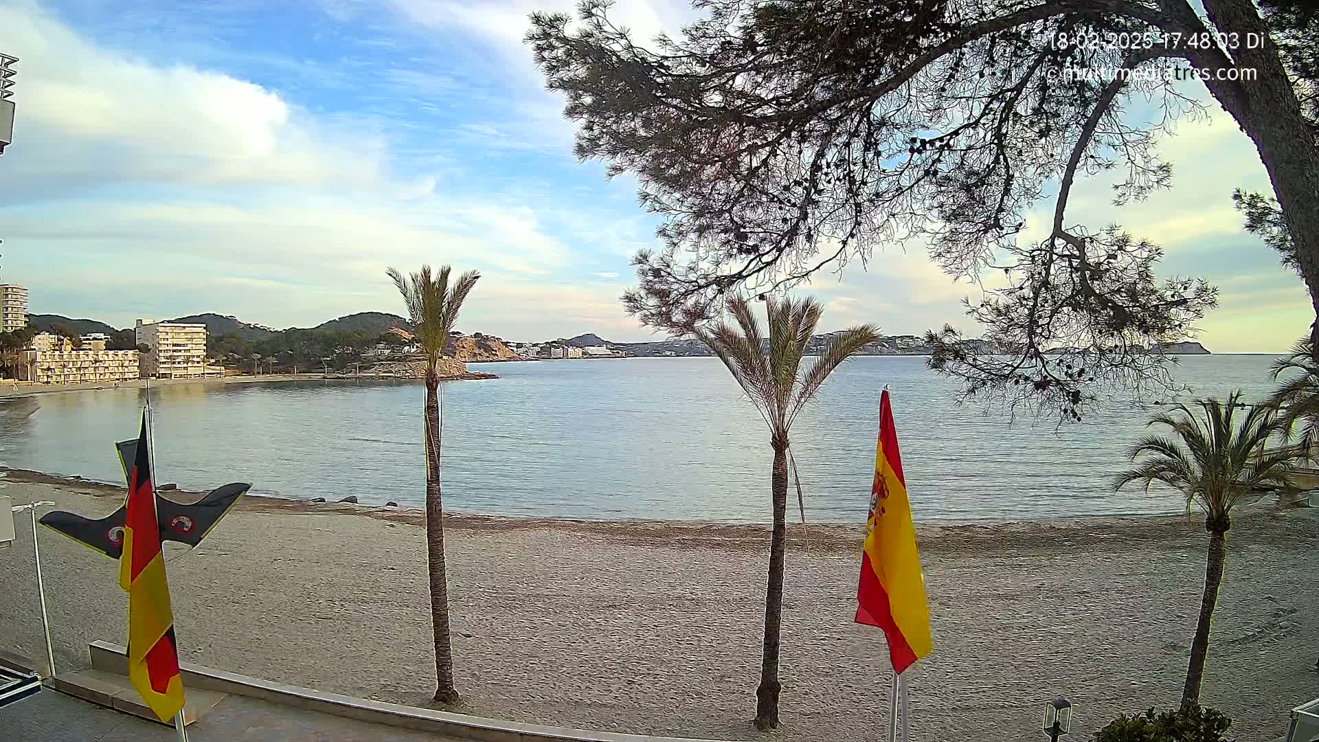 A sandy beach with palm trees and flags overlooks a calm sea and distant hills under a partly cloudy sky.