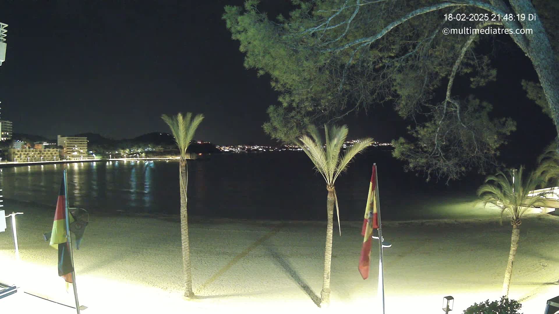 A nighttime view of a sandy beach with palm trees and flags, overlooking a calm bay with illuminated buildings across the water under a clear, dark sky.