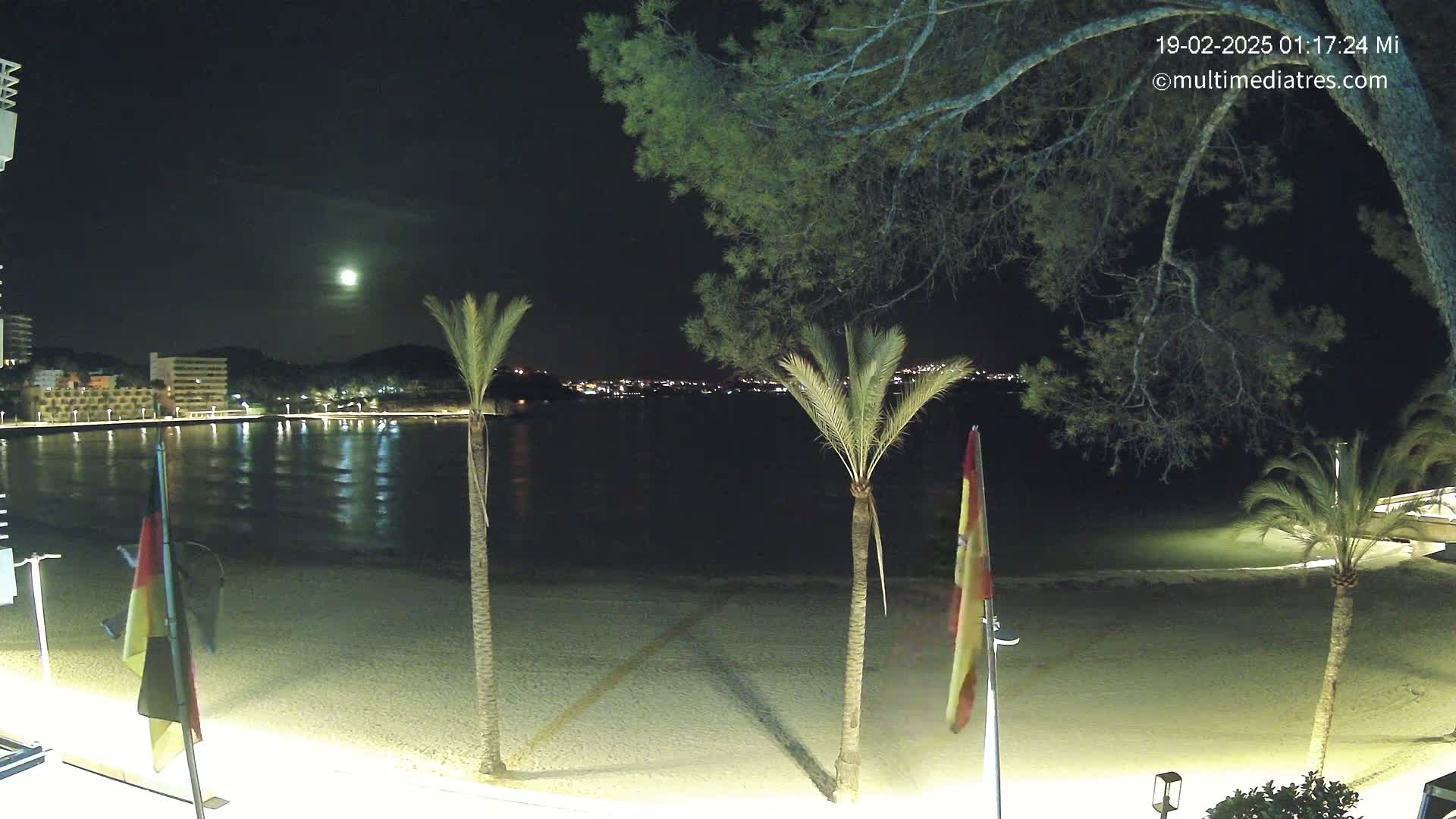 A moonlit beach at night with palm trees, flags, and a calm body of water reflecting the lights from buildings in the distance.