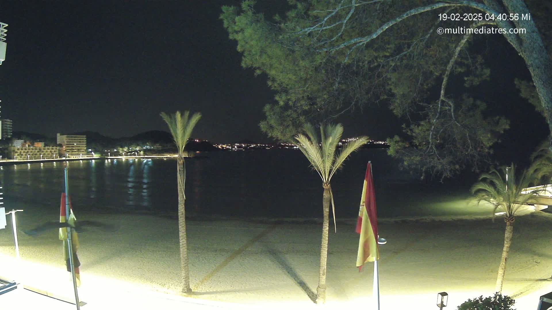 A nighttime view of a sandy beach with palm trees, calm water, and a distant town illuminated under a clear, dark sky.