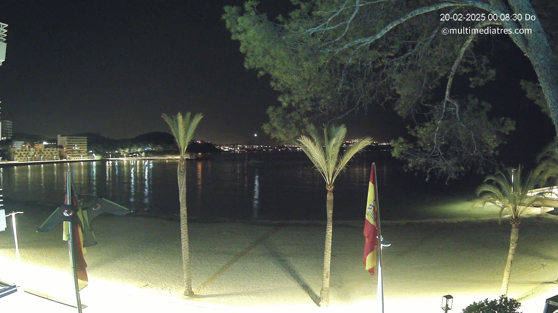 A nighttime view of a sandy beach with palm trees, a calm body of water reflecting lights from buildings across the bay under a clear sky.
