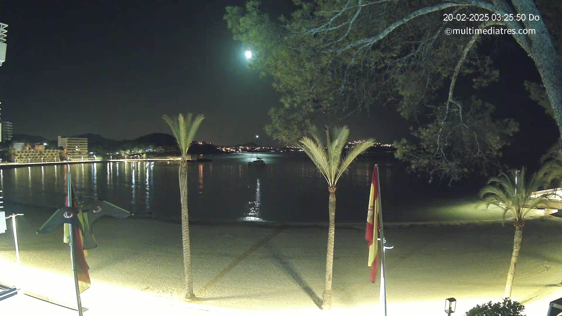 A moonlit night scene shows a sandy beach with palm trees, a calm body of water reflecting lights from buildings across the bay, and a boat in the distance.
