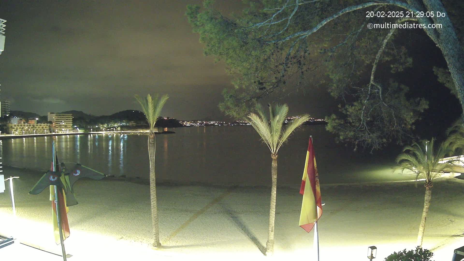 A nighttime view of a calm beach with palm trees and a city skyline illuminated in the distance under a cloudy sky.