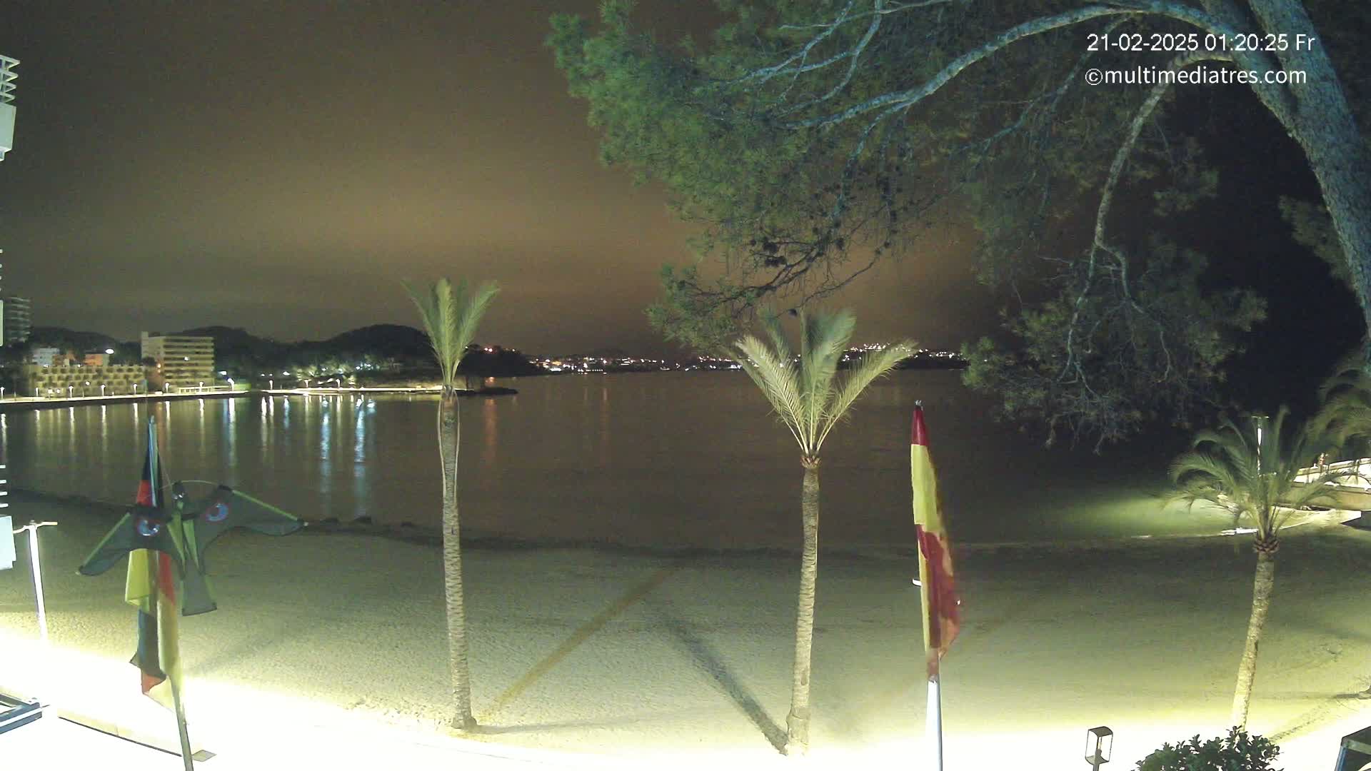 A nighttime beach scene shows a calm body of water reflecting lights from buildings across the bay, palm trees silhouetted against a dark sky, and a sandy beach with flags planted in the sand.