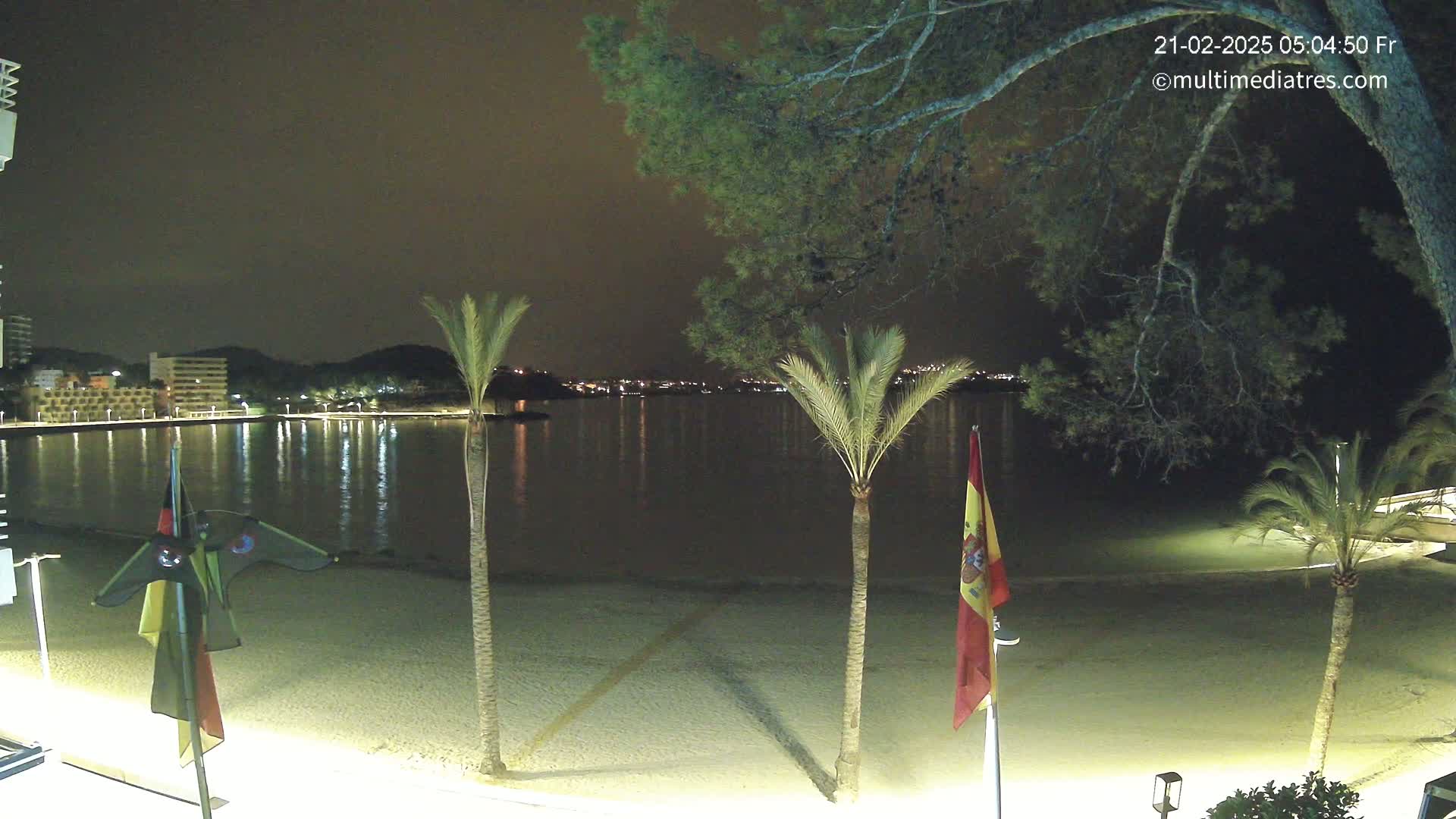 A nighttime view of a calm, dark-water bay, a sandy beach, palm trees, and flags, under a clear, dark sky.