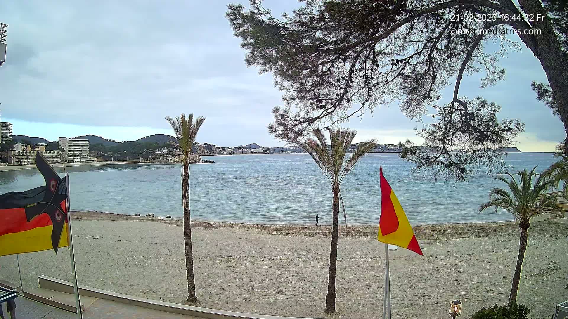 A sandy beach with palm trees and flags is seen under a cloudy sky, overlooking a calm bay with buildings in the distance.