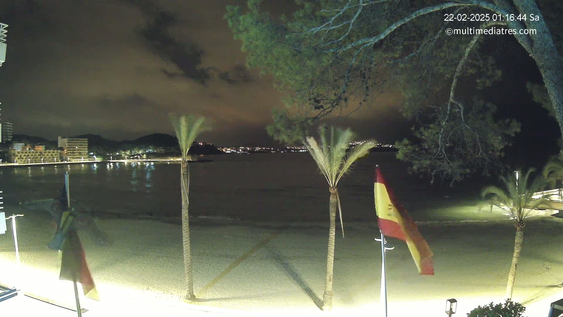 A nighttime view of a sandy beach with palm trees and flags, overlooking a calm body of water and a city skyline under a cloudy sky.