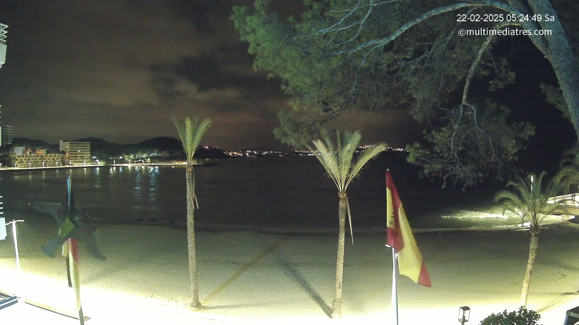 A nighttime view of a sandy beach with palm trees, calm water, and a town with lights visible in the distance under a cloudy sky.
