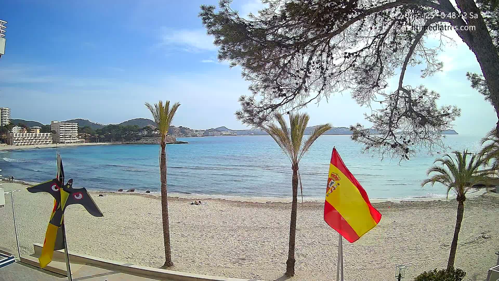 A sandy beach with palm trees and a calm, clear blue ocean under a sunny sky is viewed from behind two flags.