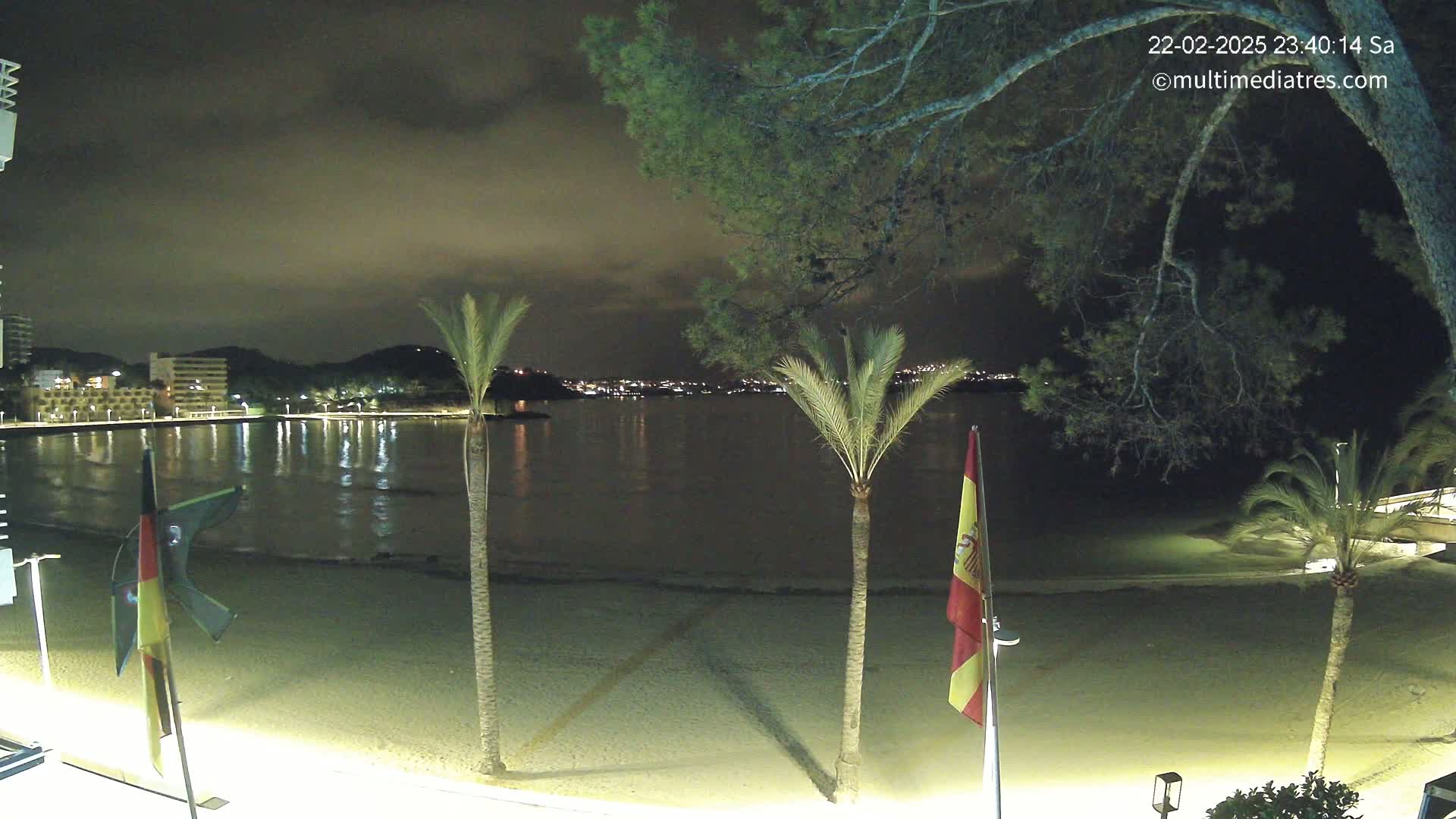 A nighttime view of a sandy beach with palm trees, flags, and calm water reflecting city lights under a cloudy sky.