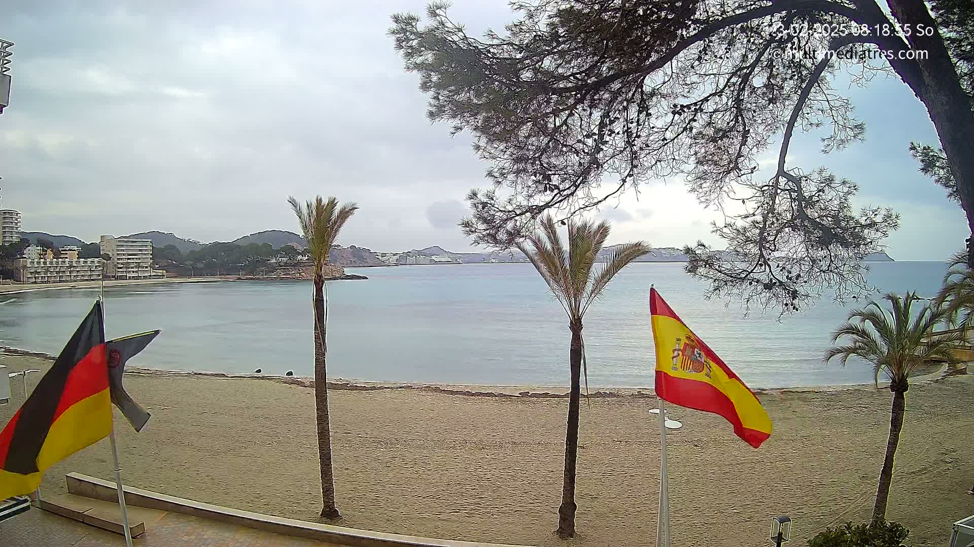 A sandy beach with palm trees and flags under an overcast sky overlooks a calm bay with buildings in the distance.