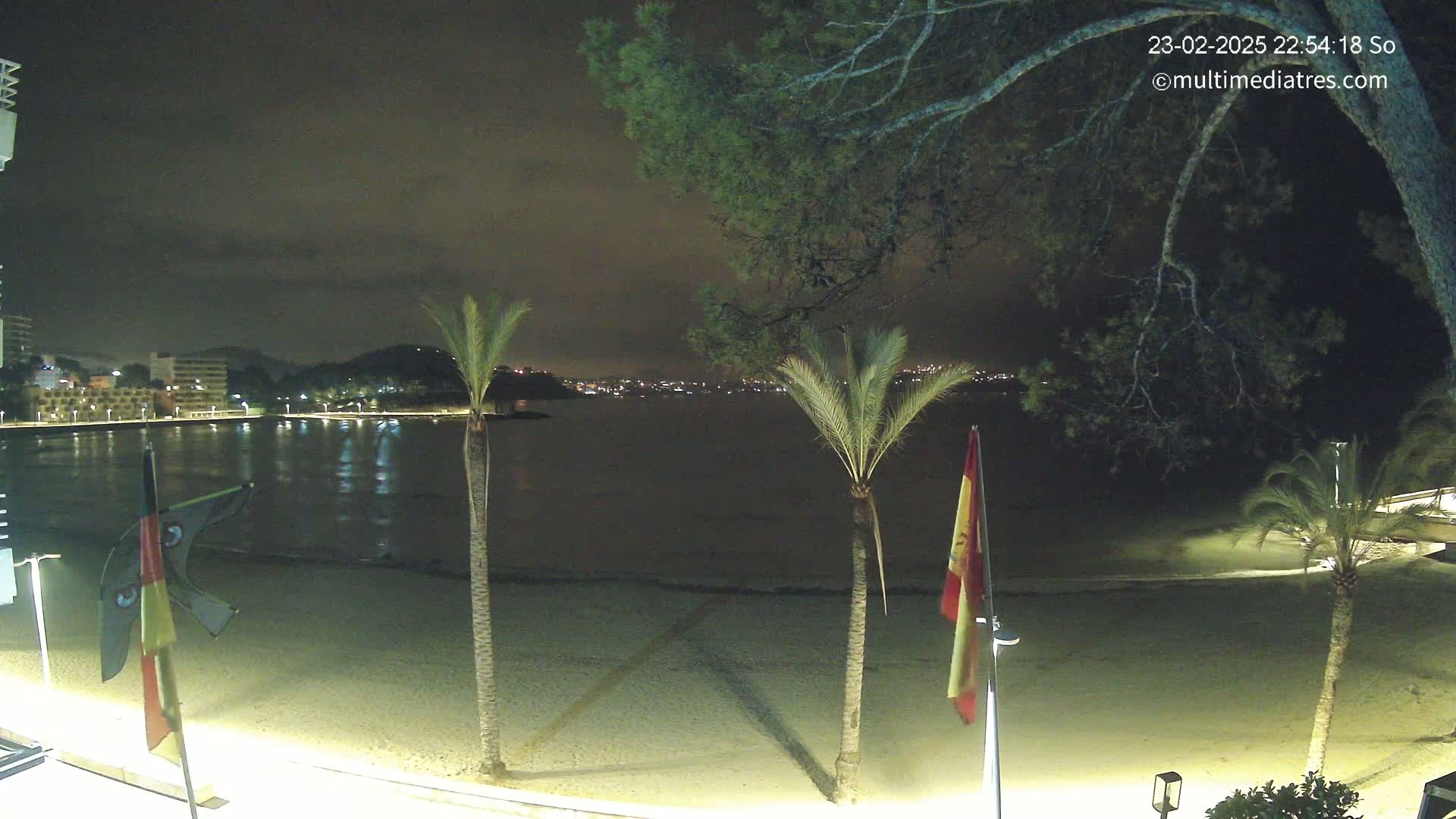 A nighttime beach scene shows a sandy shore with palm trees, flags, and a calm body of water reflecting the lights of buildings across the bay under a dark, cloudy sky.