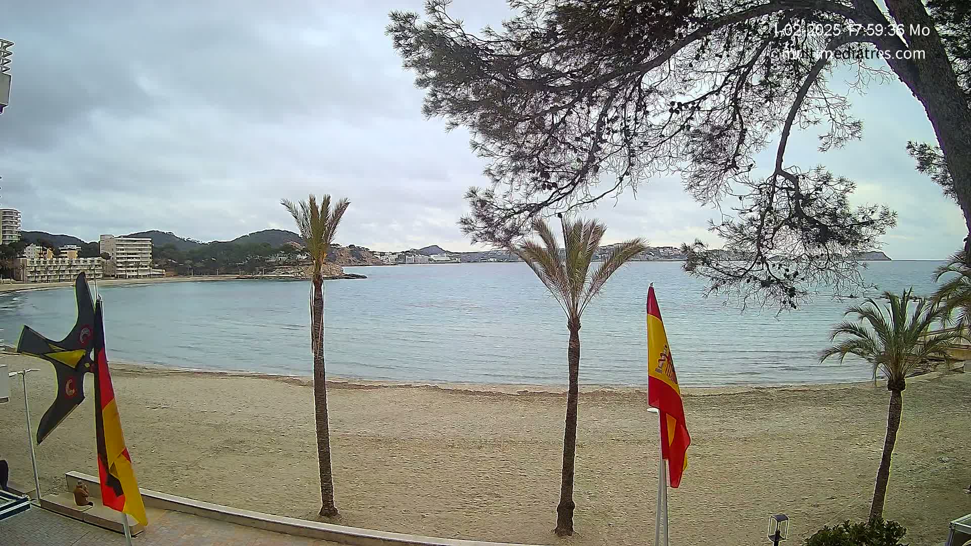 A sandy beach with calm, light-blue water is seen under an overcast sky, framed by palm trees and a large pine tree, with a few buildings visible in the distance.