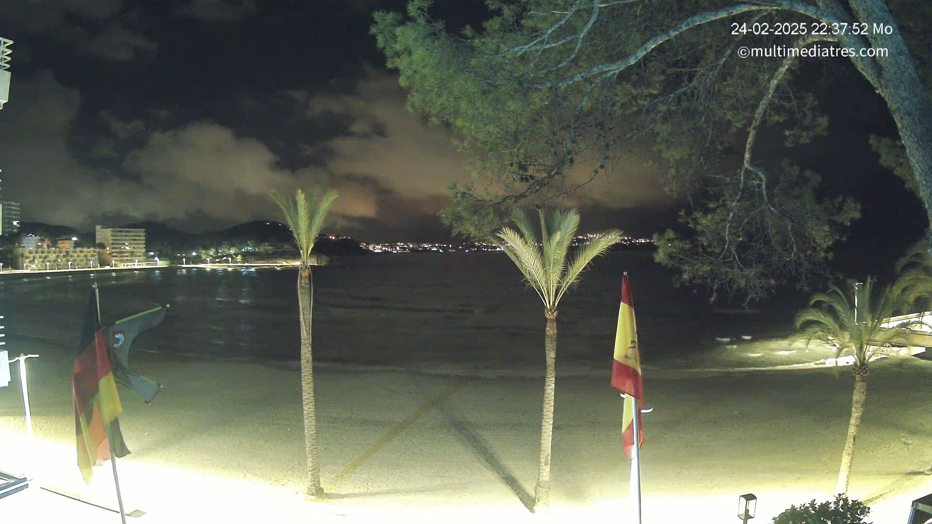 A nighttime view of a beach with palm trees and flags, under a cloudy sky, overlooks a calm body of water and a distant town illuminated by lights.