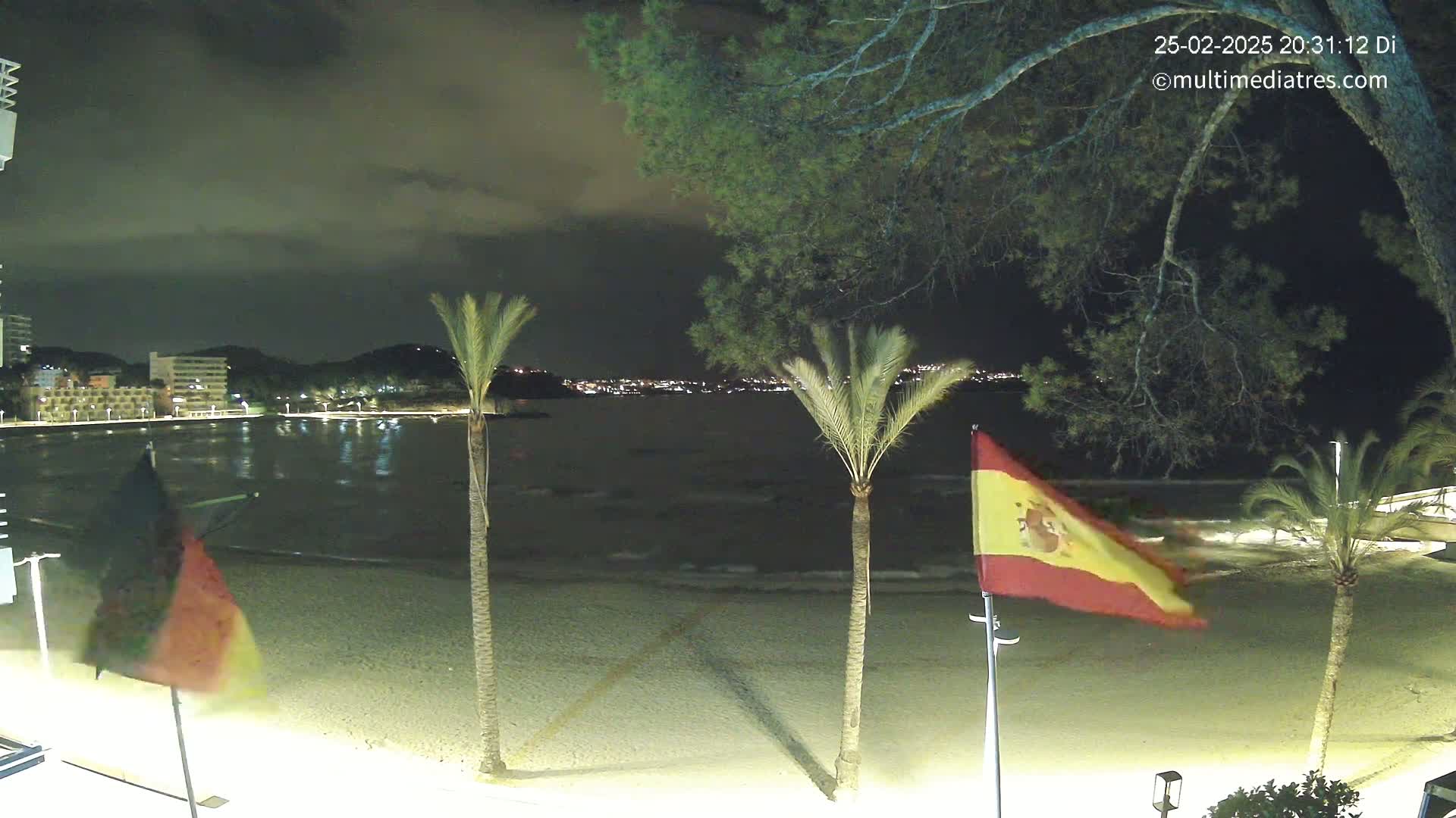 A nighttime beach scene shows a sandy shore with gentle waves, palm trees, and flags waving gently in the breeze, with a city illuminated across the water under a cloudy sky.
