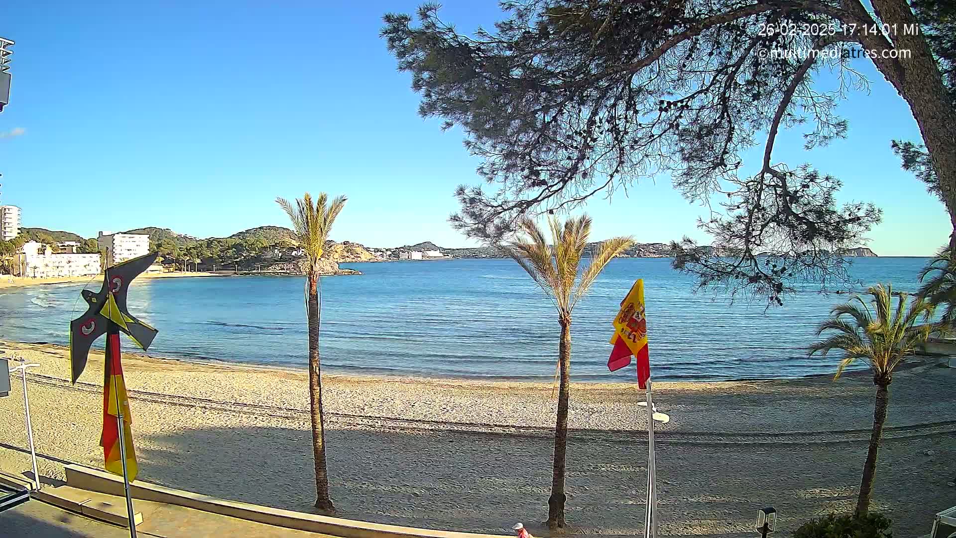 A sandy beach with calm, blue water, palm trees, and a clear blue sky is visible from a vantage point overlooking the beach.