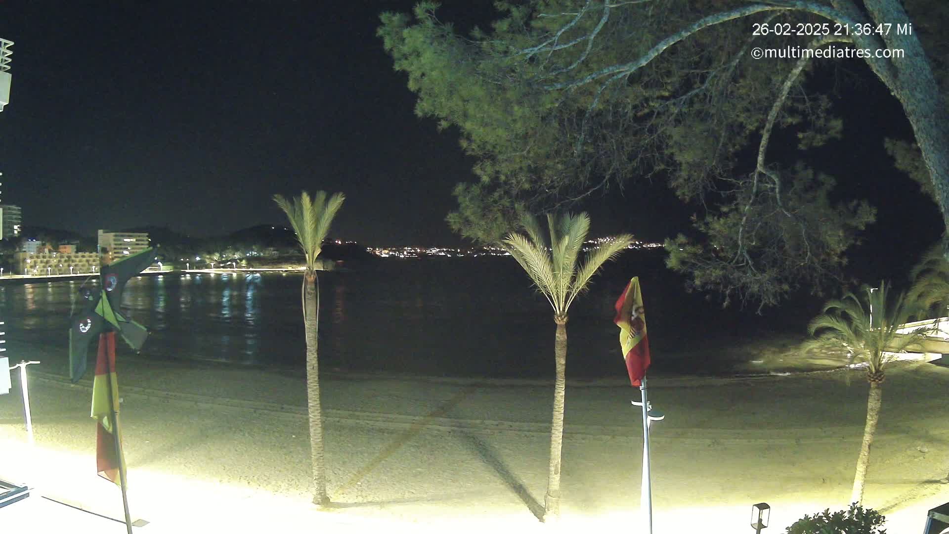 A nighttime view of a sandy beach, calm water, and a town's lights across the bay, framed by palm trees and a large tree.