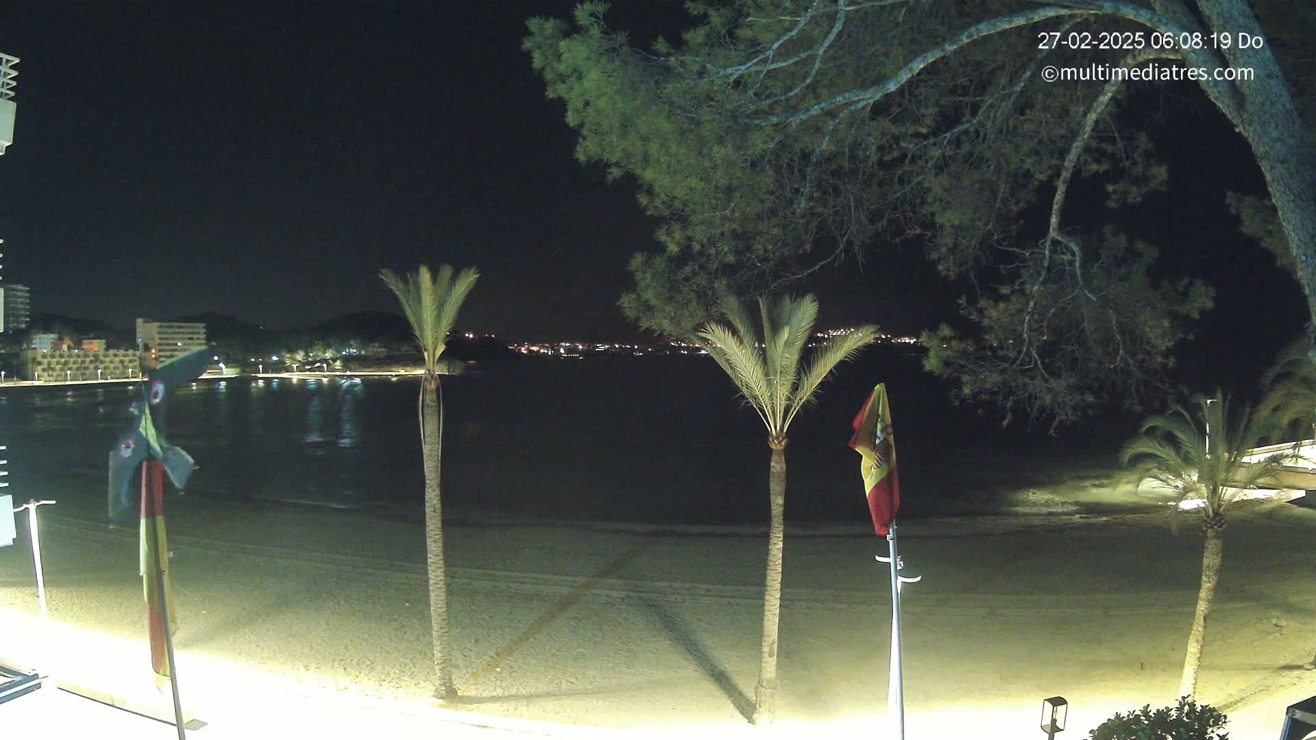 A nighttime view of a sandy beach with palm trees, flags, and a calm body of water reflecting lights from buildings across the water.