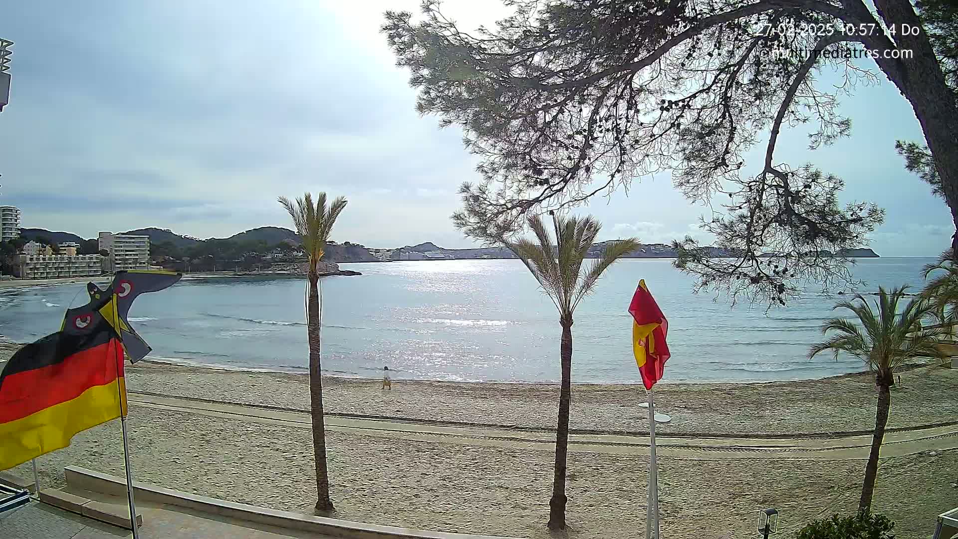 A sandy beach with calm, sunlit water, palm trees, and flags is viewed from a slightly elevated position under a mostly clear sky.